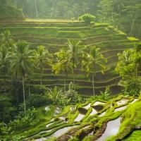 6-days-tour-of-bali-with-balinese-spa