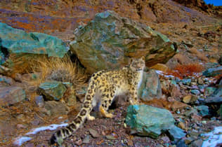 Qavbt0mnrd5sdgsu3rn8zbuoh970 1488817098 hemis.national.park.original.2928