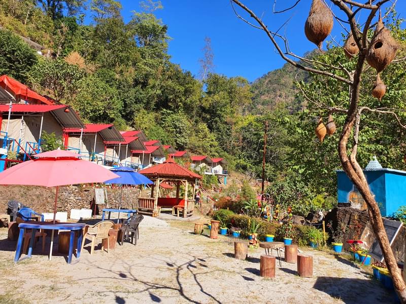 Camping and Trekking In Rishikesh With Rafting Image