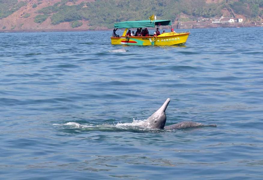 Castaway Cruise In Goa Image