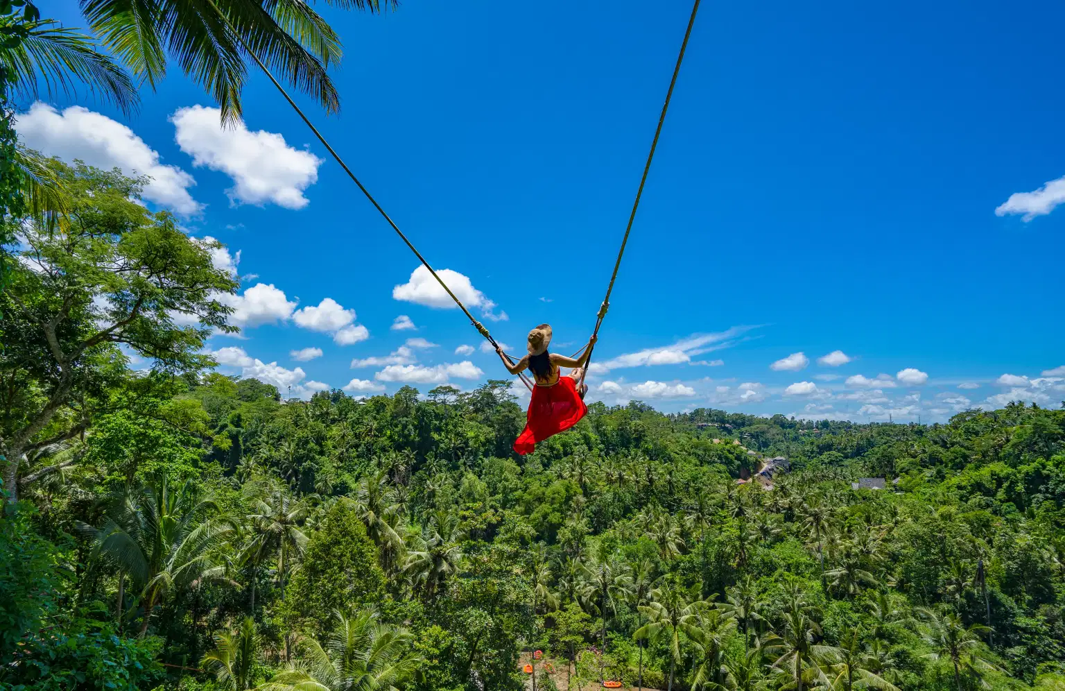 Scenic Routes of Bali | Culture, Coastlines, Cascades