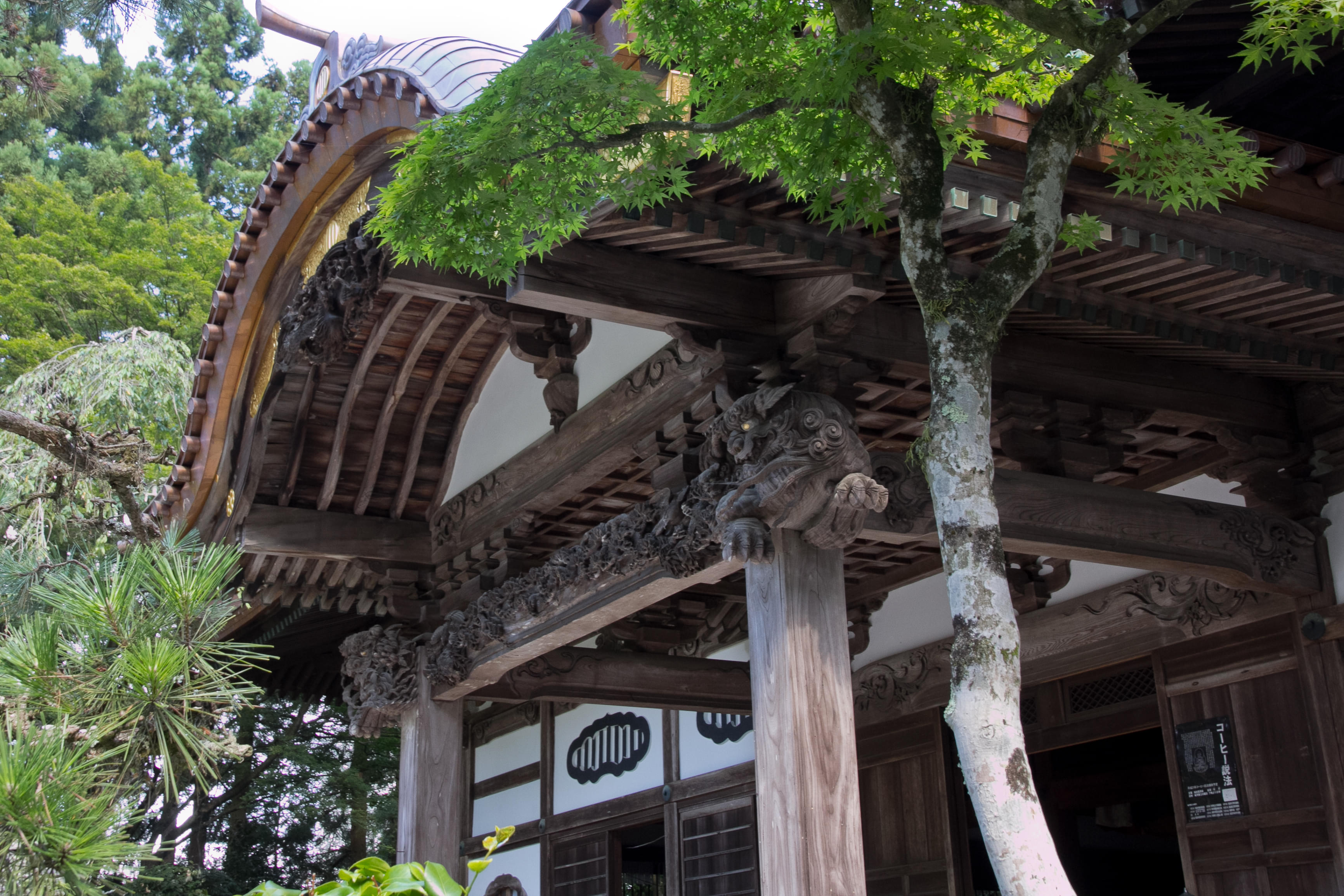 Attend a Cultural Lecture 