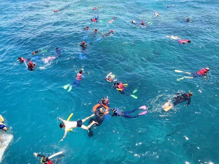 Great Barrier Reef Snorkeling