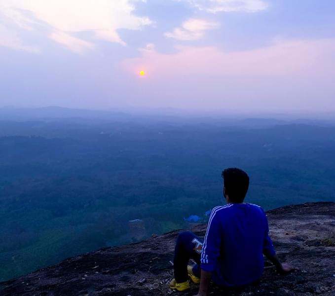 Luxury Camping in Munnar Image