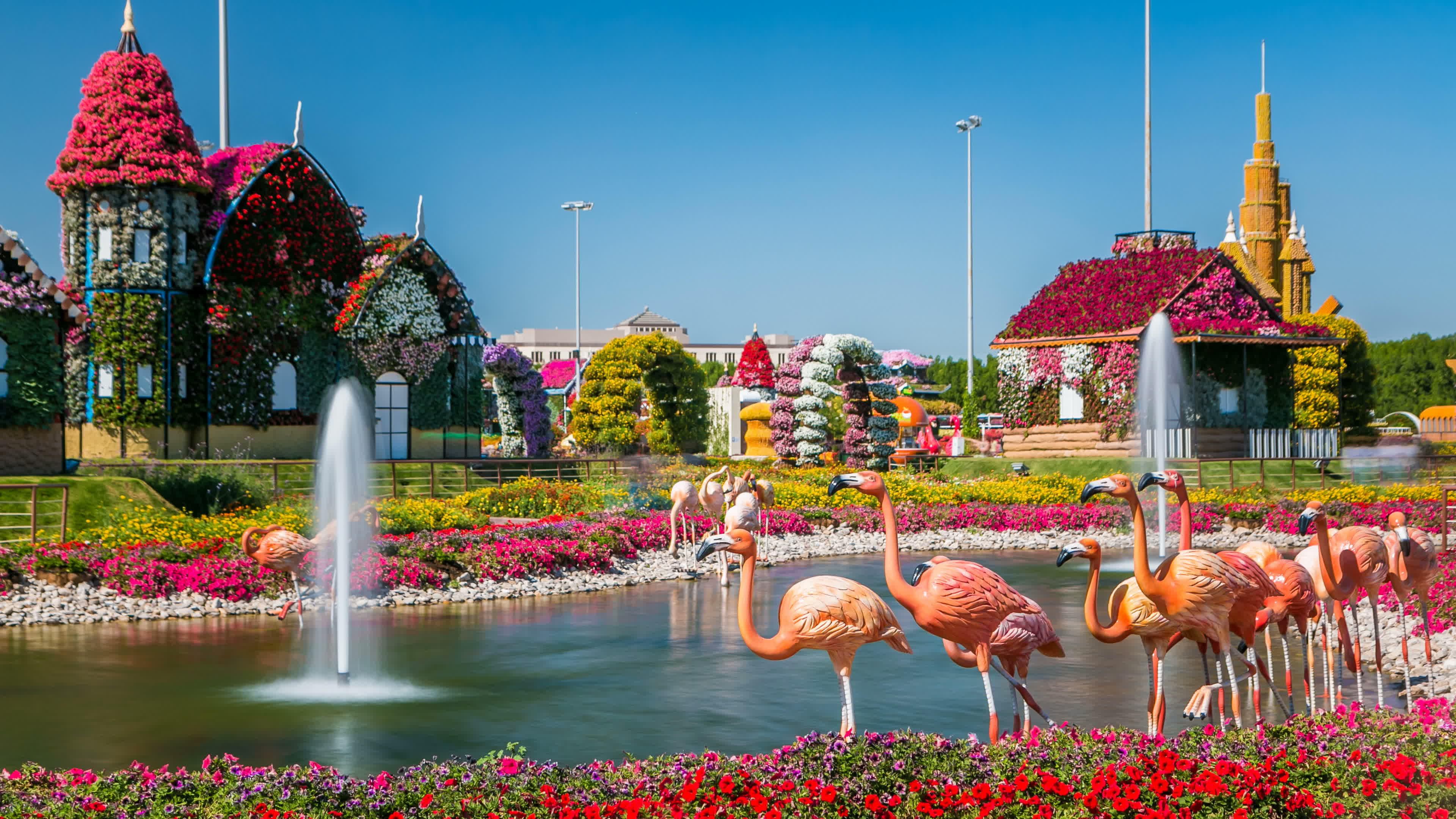 Lake park in Dubai miracle garden
