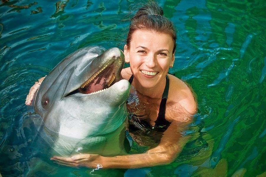 dolphin show singapore