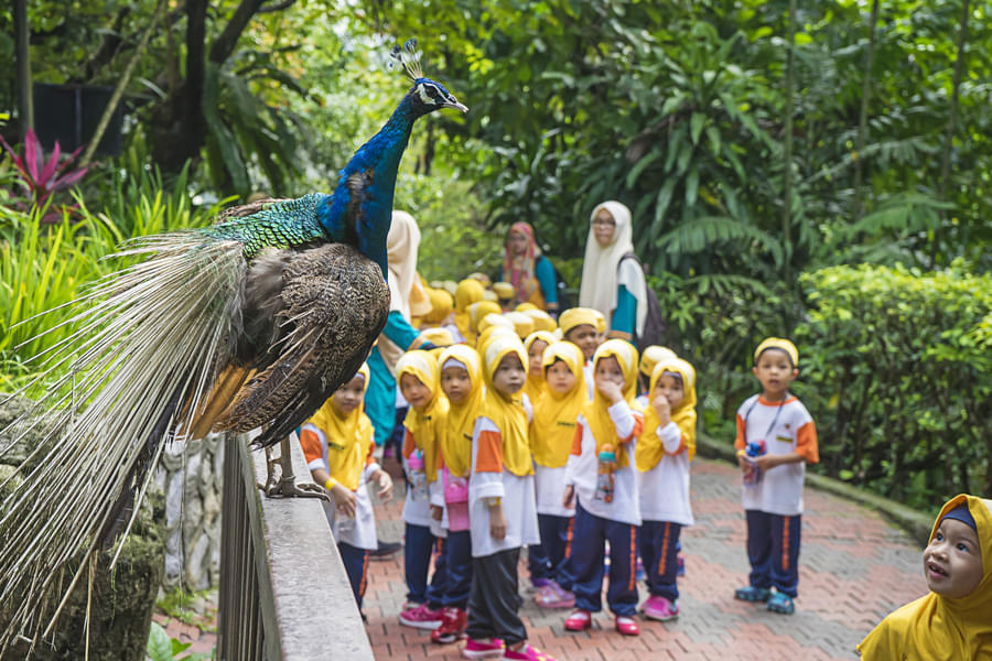 Let your kids learn about the various conservation and feeding programmes practiced in the park