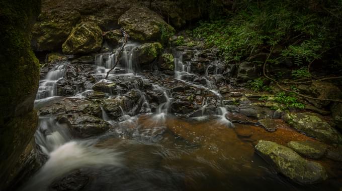 Springbrook National Park Tours