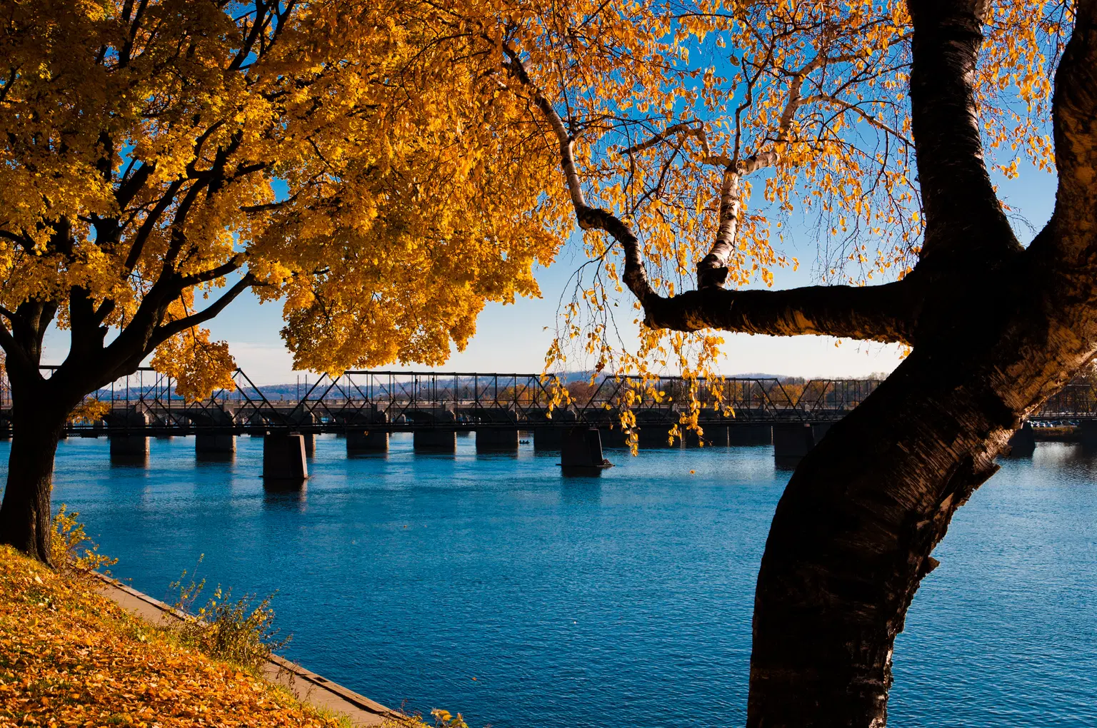 <em>USA</em> Tour Packages From Indore