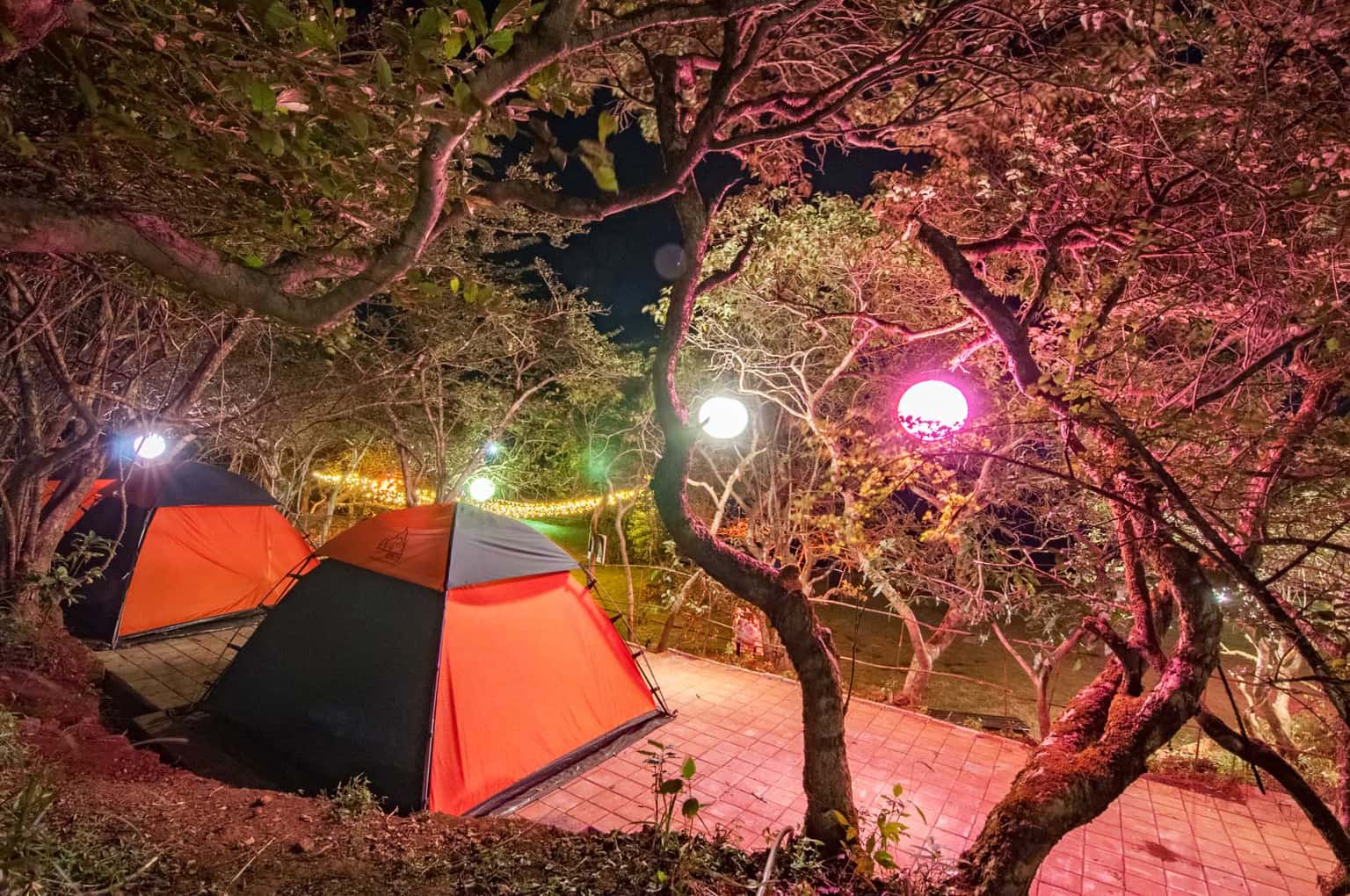 Camping in Mahabaleshwar