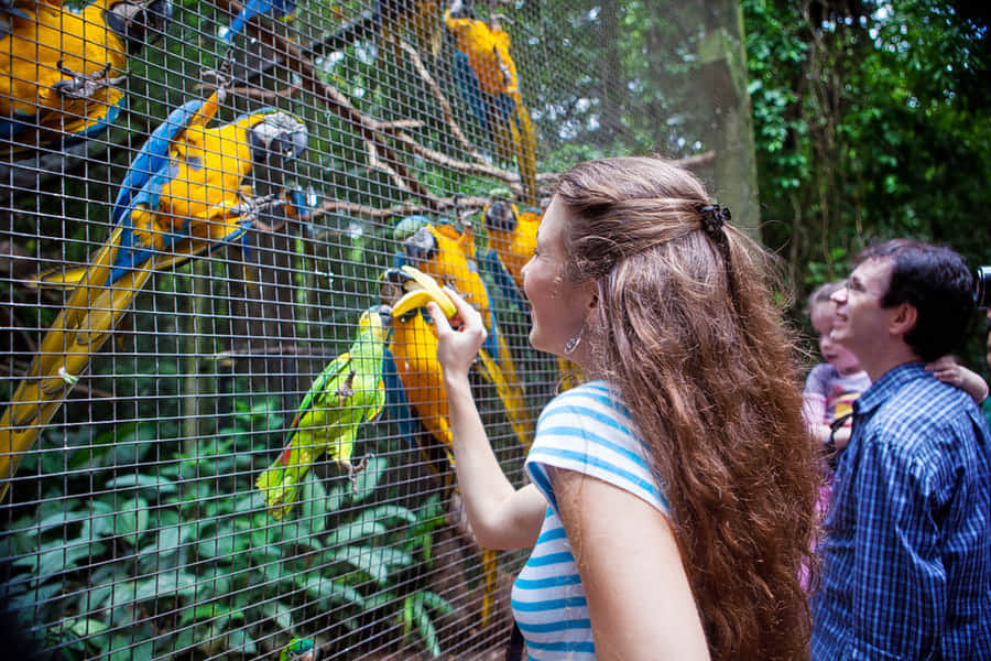 Phuket Bird Park, <em>Phuket</em>