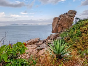 Qdtomxnjmss2qiv3cfyn5akf4tl2 1566457304 shutterstock 1326093224