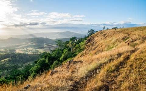 Things to do in <em>Toowoomba</em>