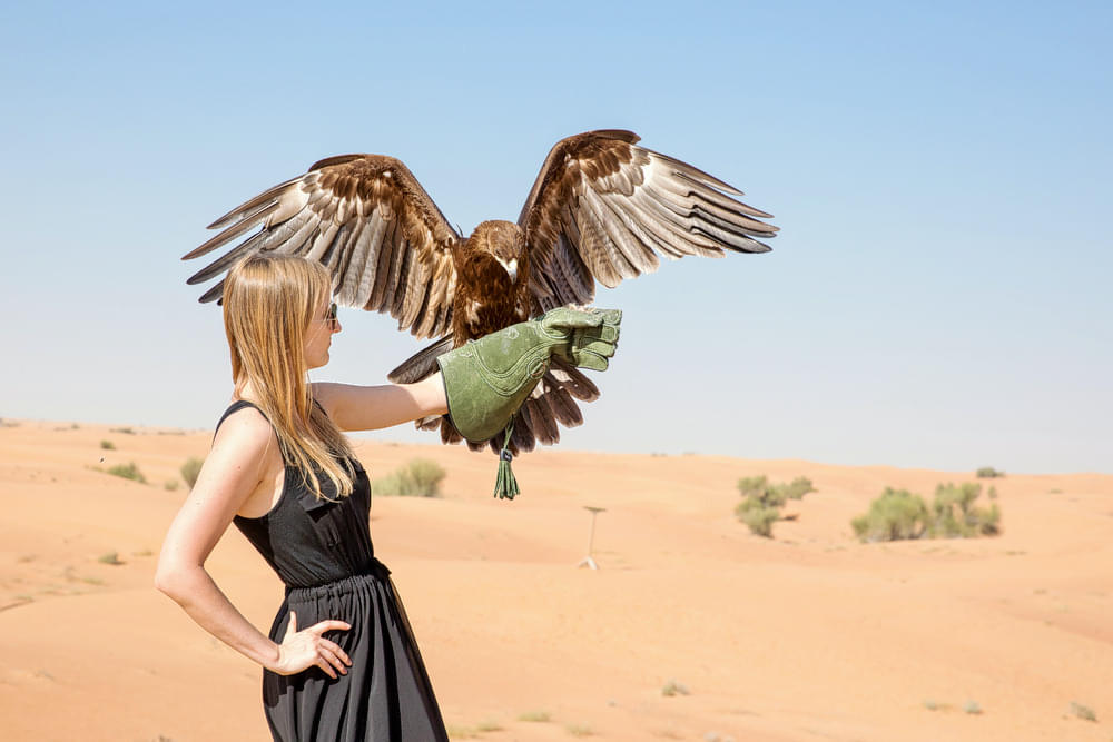 Get a snap with UAE's national bird.