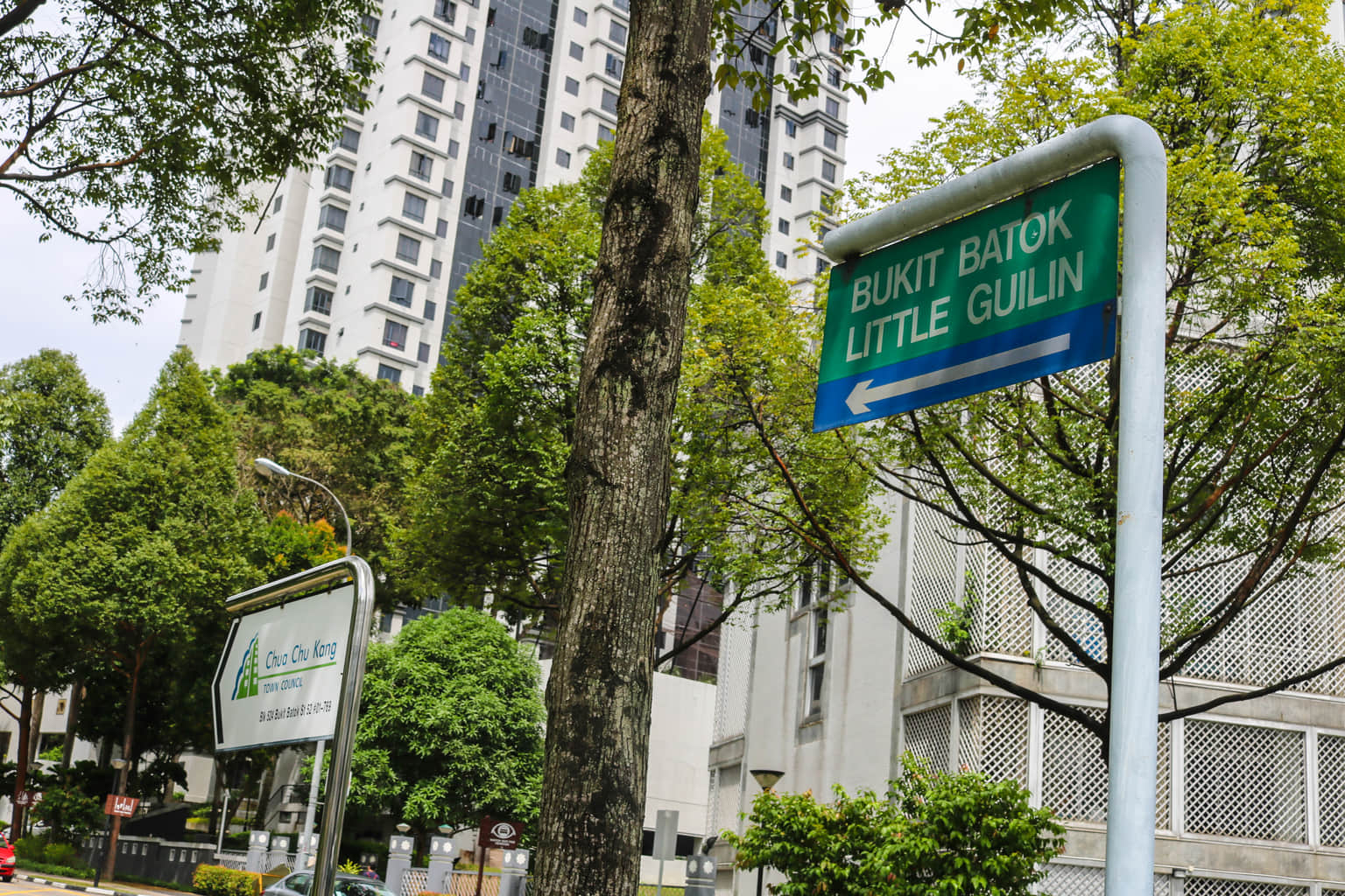 Bukit Batok Nature Park, <em>Singapore</em>