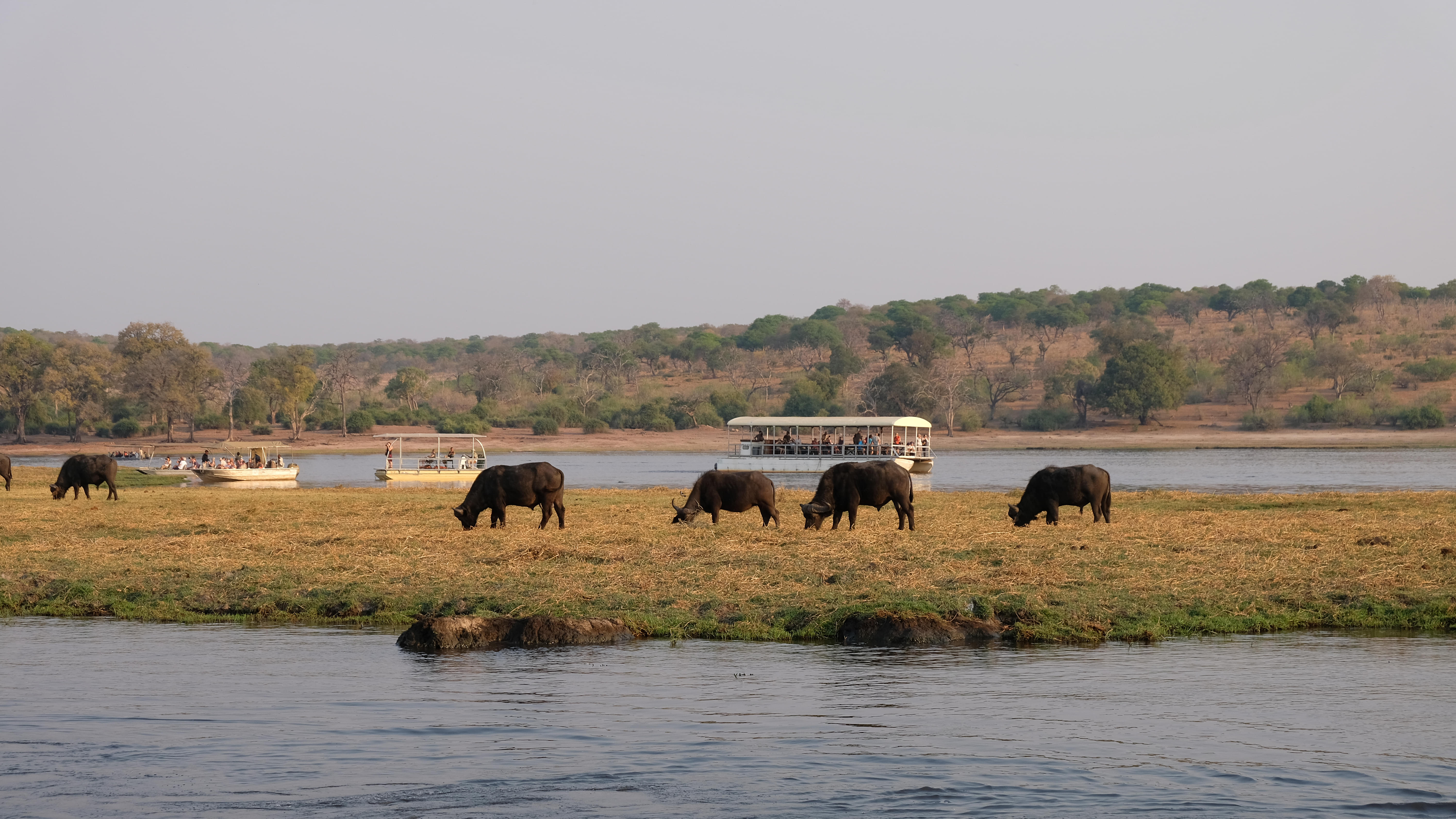 Chobe River Botswana