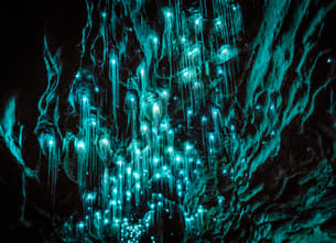 Qepcfnpdapkowvtdj8smmq339bdz 1583145943 shutterstock 1074829523