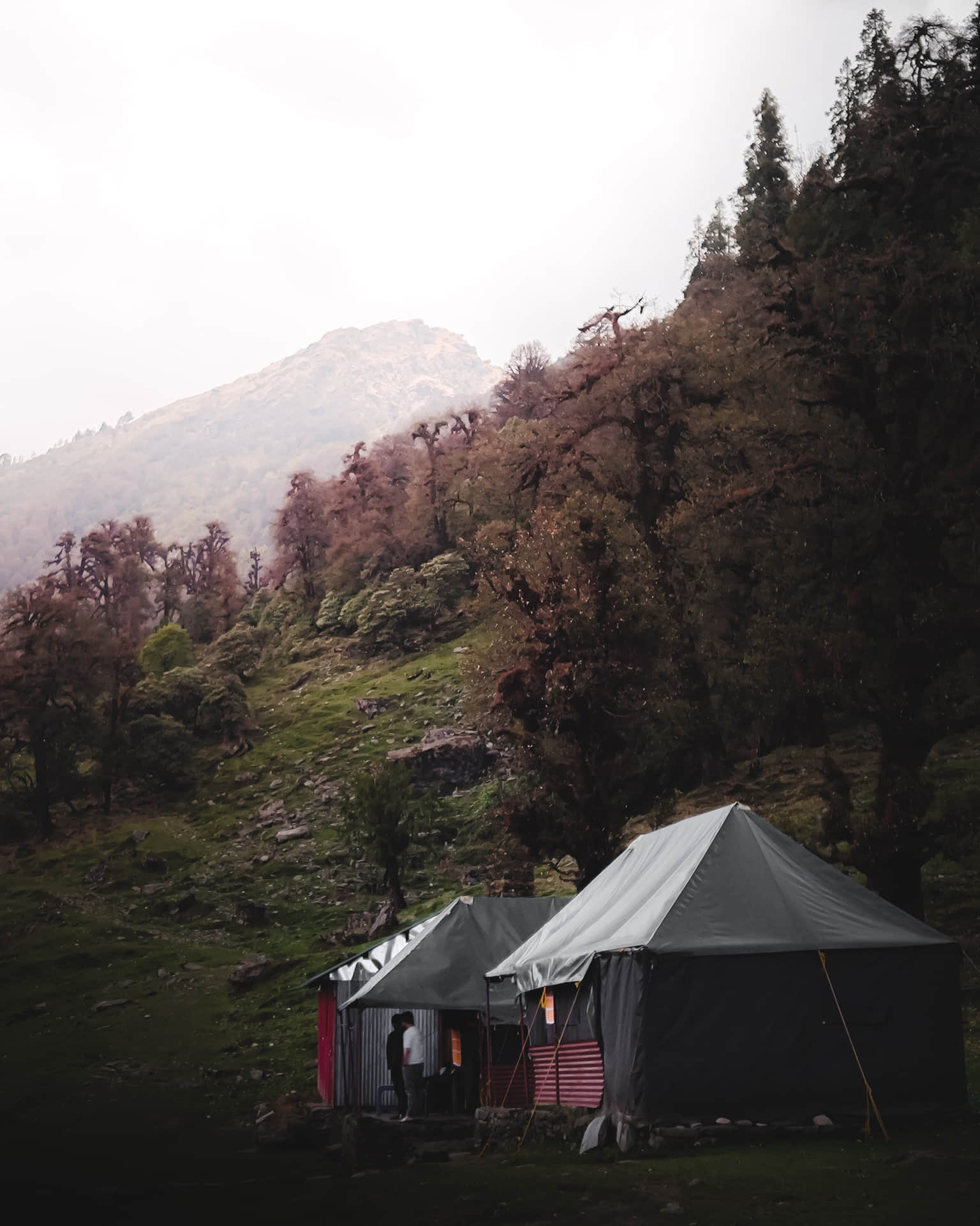 Photo from Aman  Aman 's trip