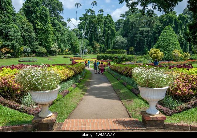 Orchid House Kandy Overview