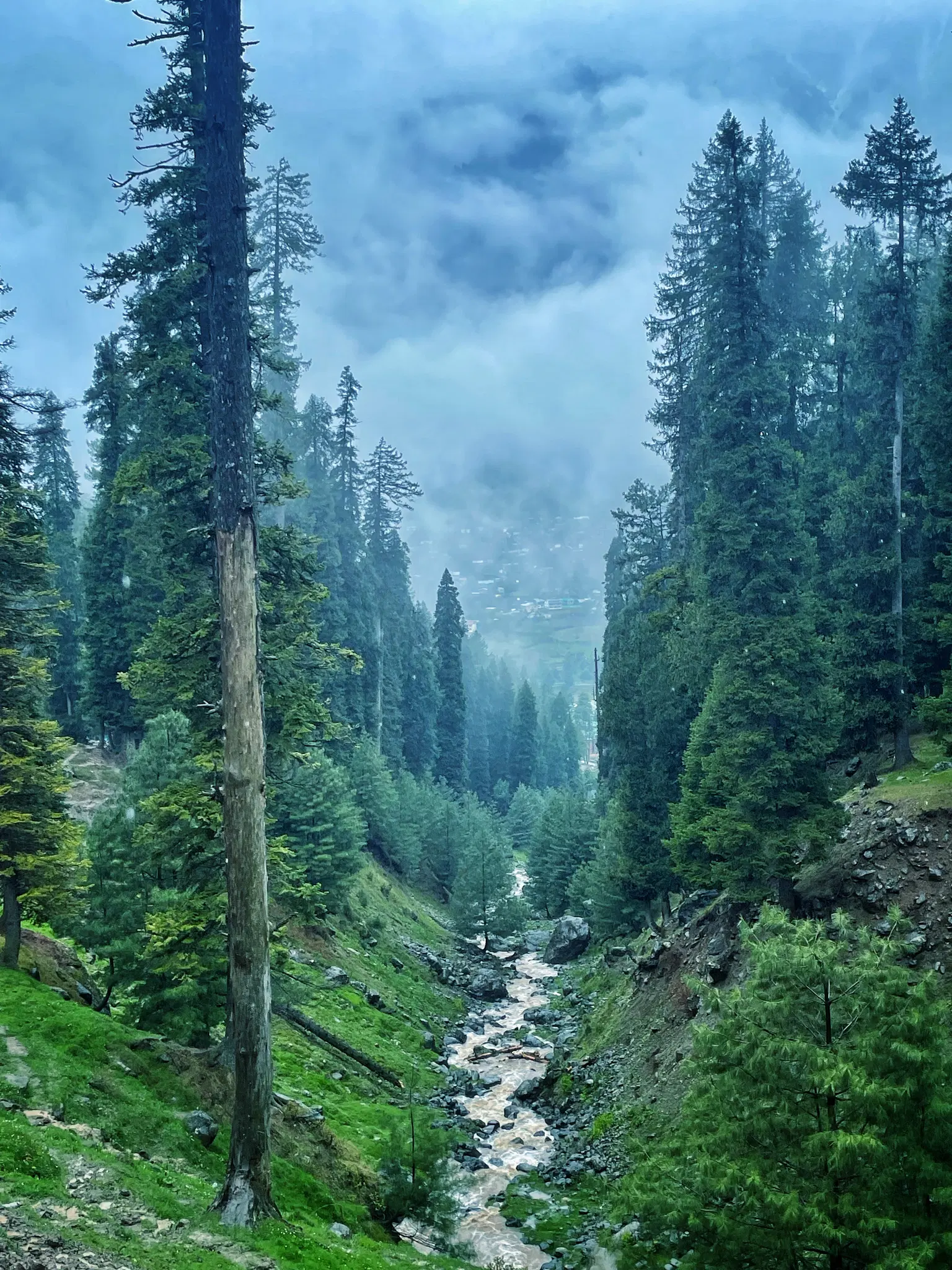 Photo from Harika   Malepati's trip