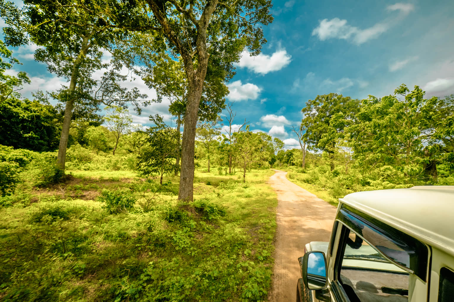 <em>Sri Lanka</em> Tour Packages From Lucknow