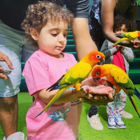 Exotic Bird Show Dubai Dolphinarium