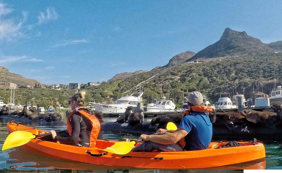 Kayaking in Cape Town