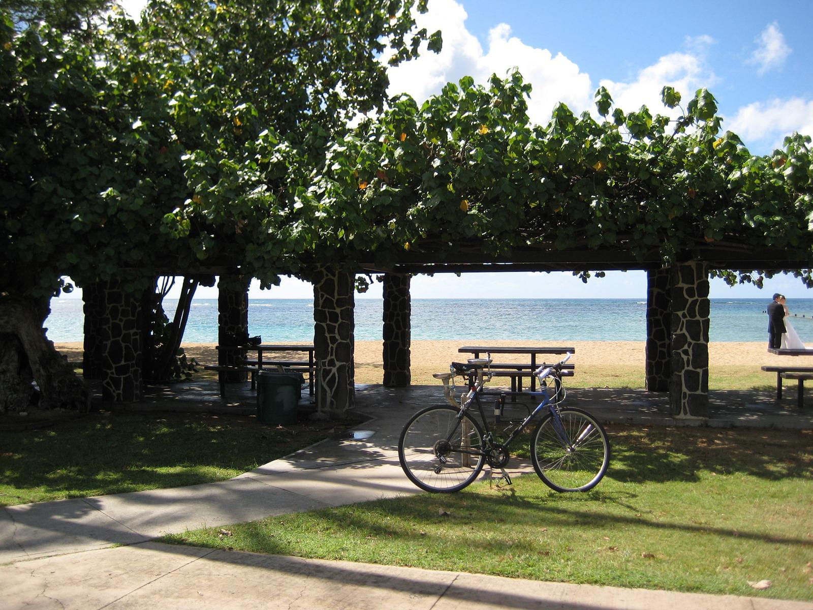 Waialae Beach Overview