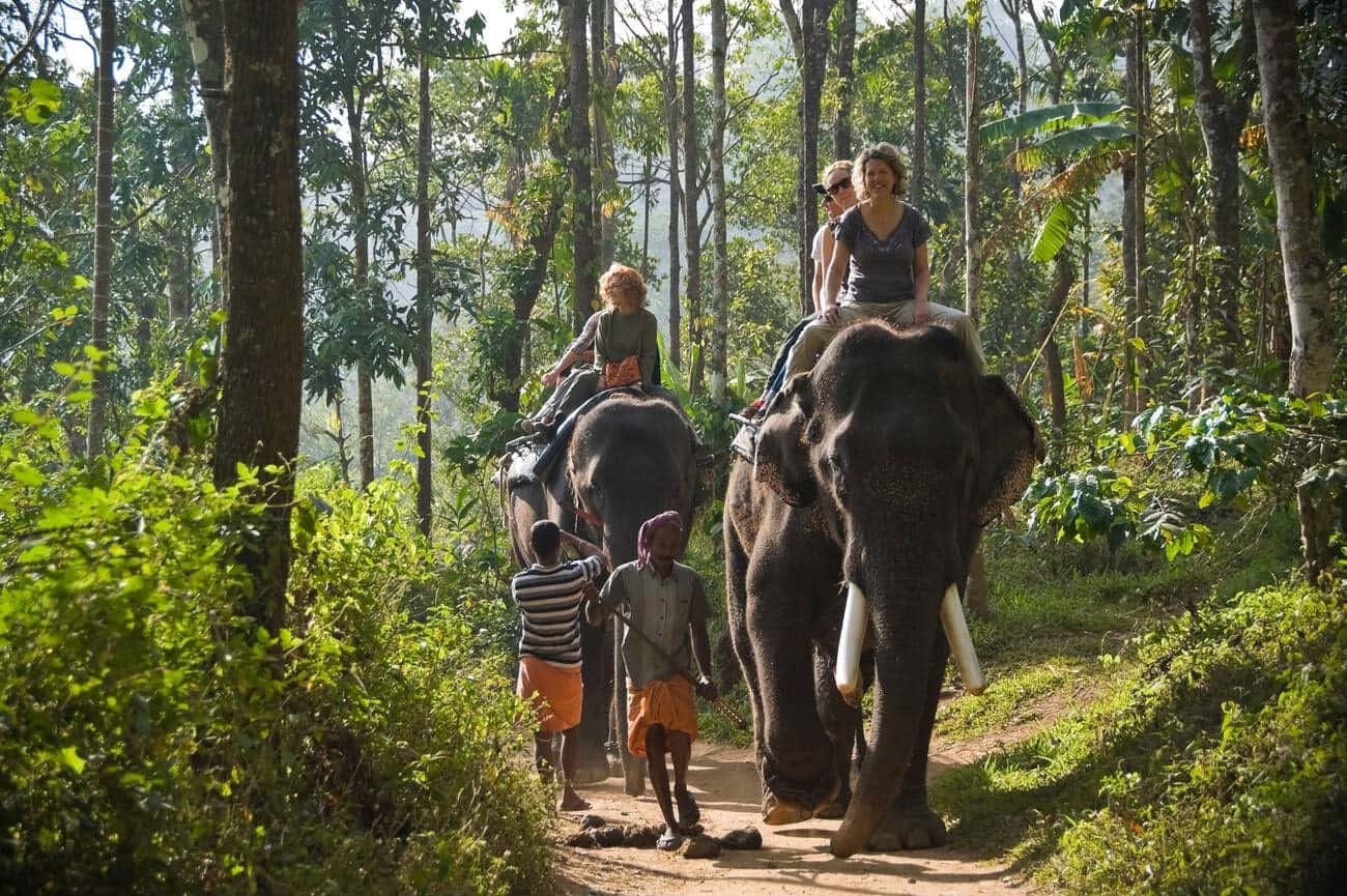 Elephant Junction Activities Package, Thekkady