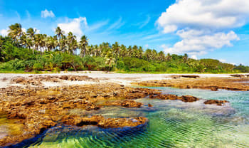 Stewart Island Beach