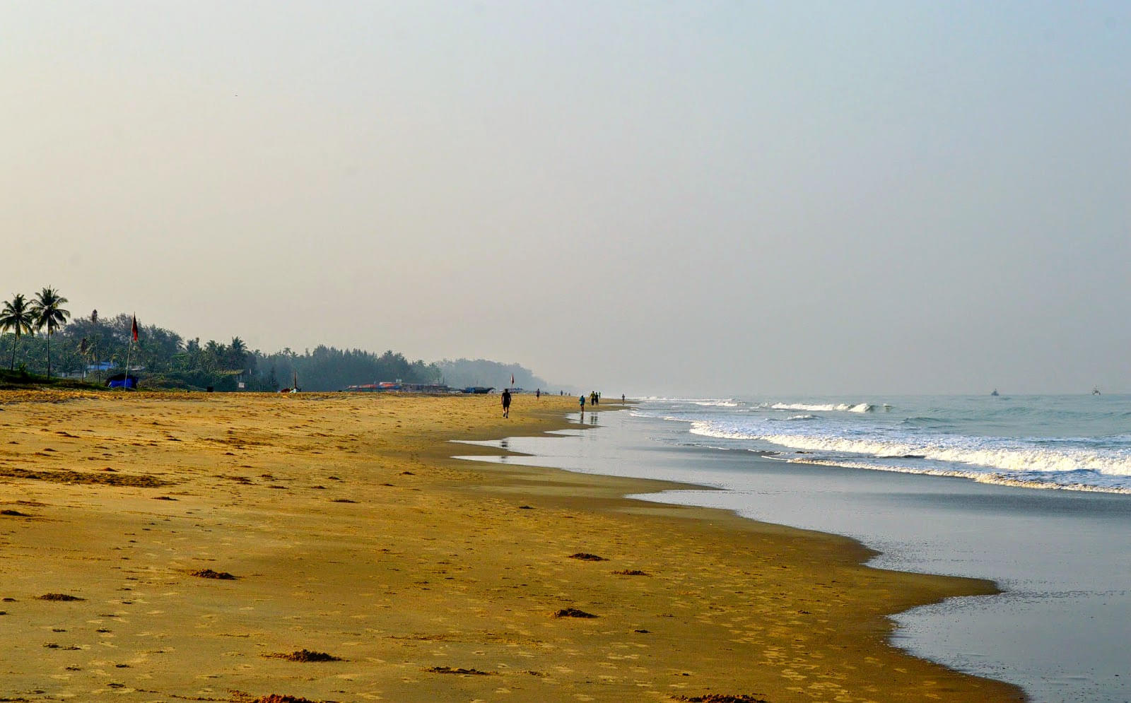  Cansaulim Beach Overview