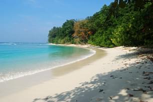 Qi46d1sx53uzcj6s3ldkp5fn95h9 downpic.cc 98704983