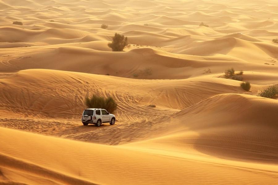 best dubai desert safari tour