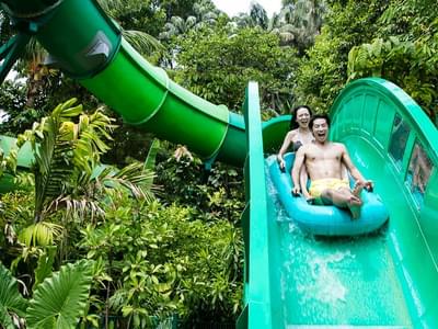 Adventure Cove Waterpark One-Day Admission Ticket