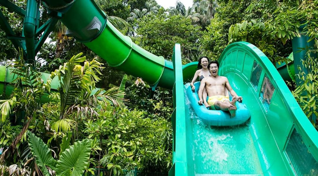 Scream with joy on the Riptide Rocket Coaster at Adventure Cove Waterpark