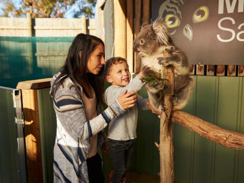 Moonlit Sanctuary Wildlife Conservation Park Ticket Image