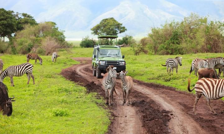 Game Drive around Ngorongoro Crater
