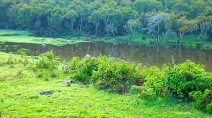 Qjyw27nncwzow835jaqrzz8xv52g 1575527661 2(1)