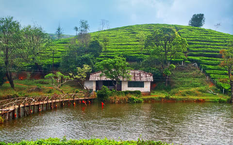Best Places To Stay in Vagamon