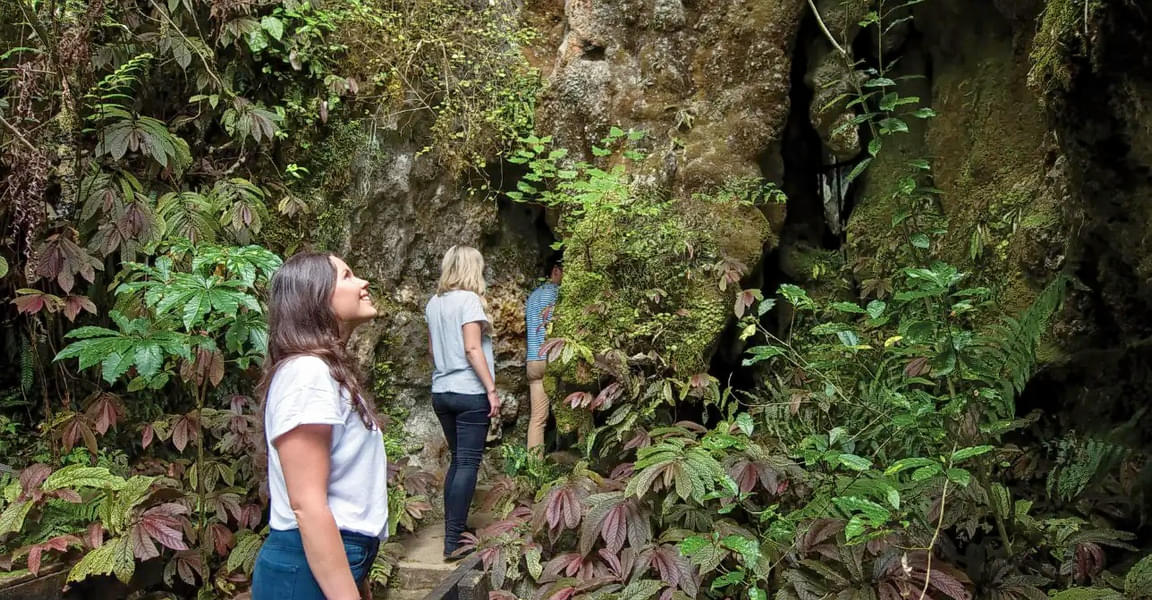 Aranui Cave Tour Image