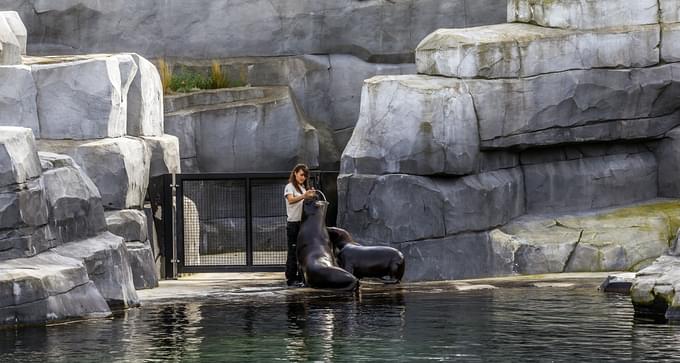 paris zoological park