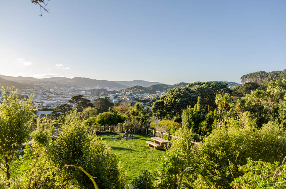 Wellington Zoo, <em>Wellington</em>