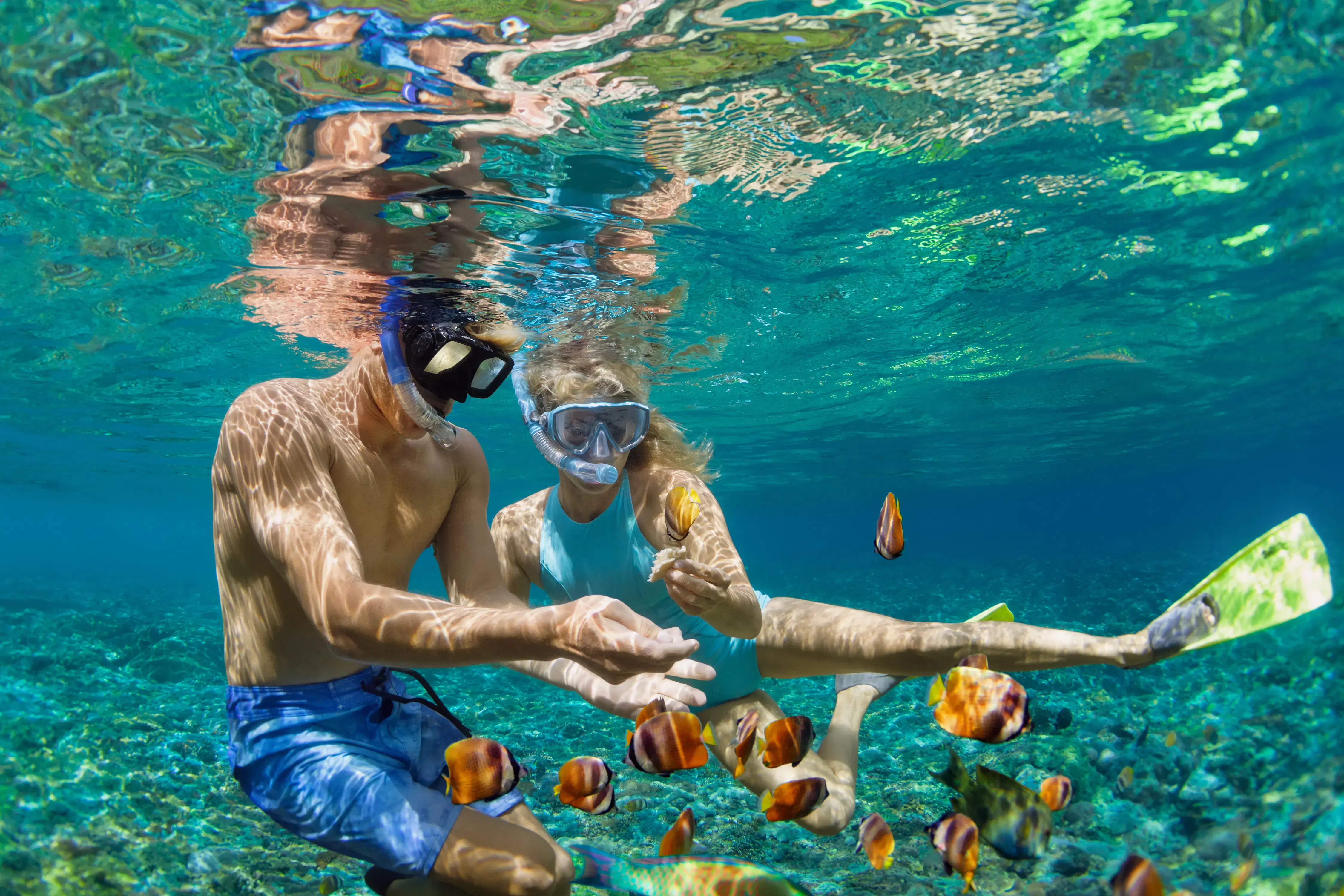 Enjoy A Session Of Snorkeling