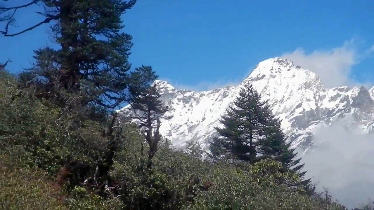 Photo from Ajit Khan's trip