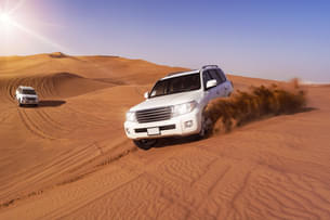 VIP Desert Safari in Dubai