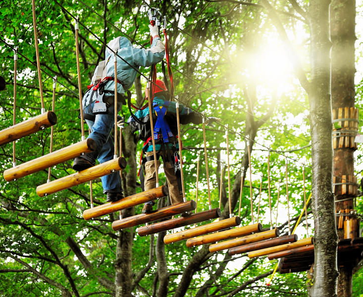 Adventure Rope Course In Munnar Image