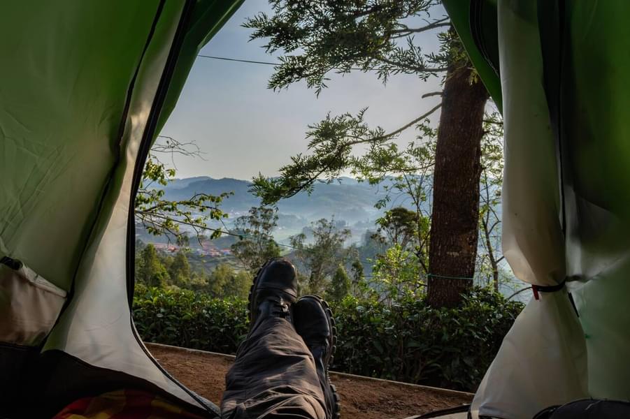 Top Station Camping in Munnar​ Image