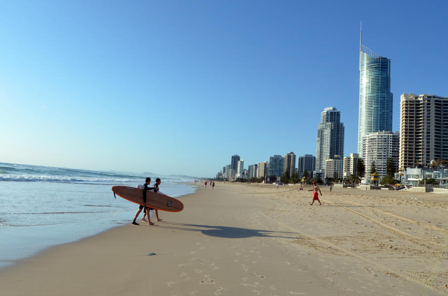 Surfers Paradise or Broadbeach Surfing Course in Gold Coast Image