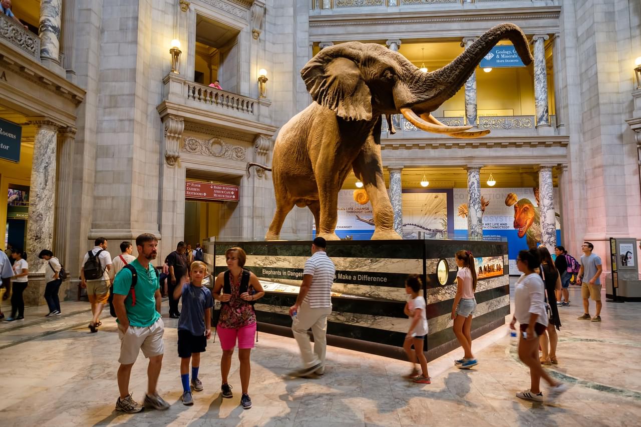 Museums in San Diego