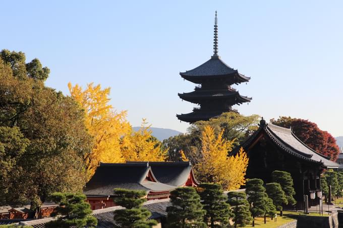 Nijo Castle Tour